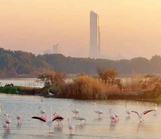 Una imagen de Dubai. (VisitDubai)