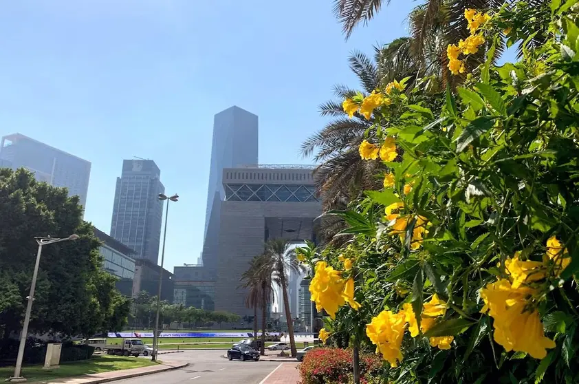 Imagen de Dubai. (EL CORREO)
