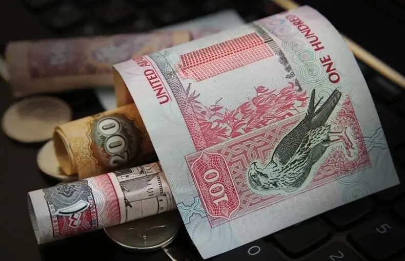 billetes de dirhams emiratíes. (WAM)