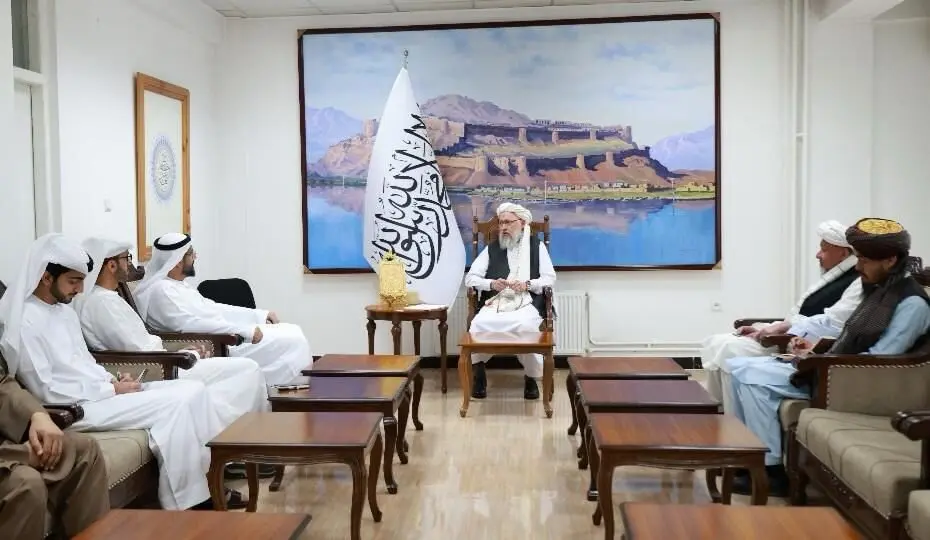 La delegación de Emiratos durante su visita a la capital de Afganistán. (WAM)