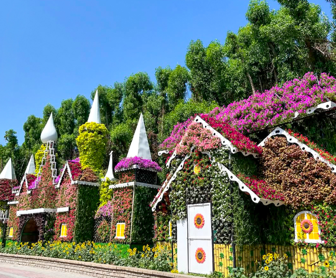 Dubai Miracle Garden. (X)