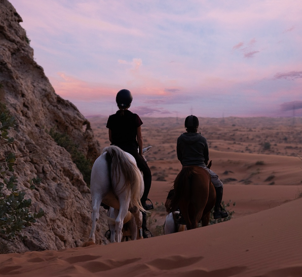 Mleiha National Park. (Instagram)