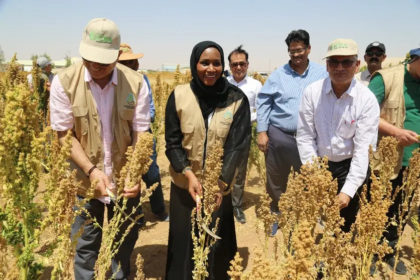 Una imagen de X de Al Ain Farms.