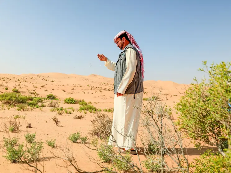Un funcionario contempla la siembra de semillas en el desierto. (WAM)