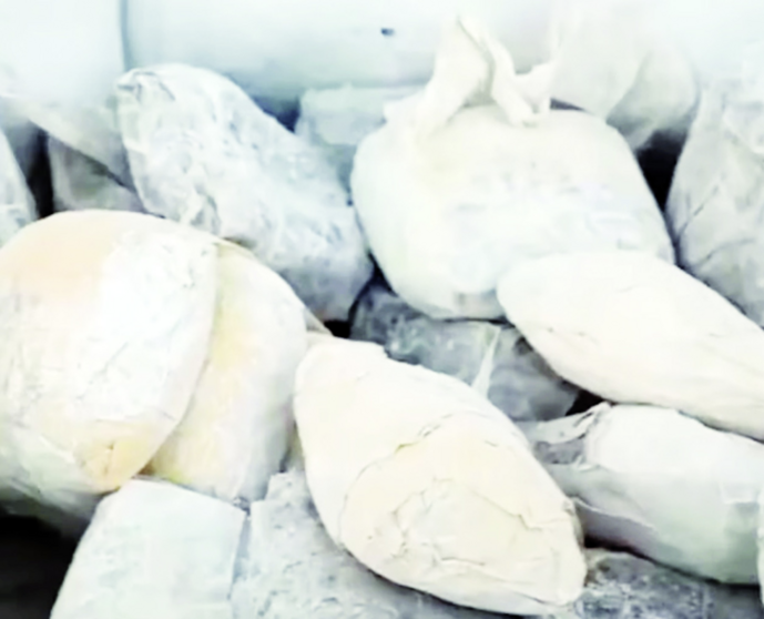 Las pastillas confiscadas. (X)