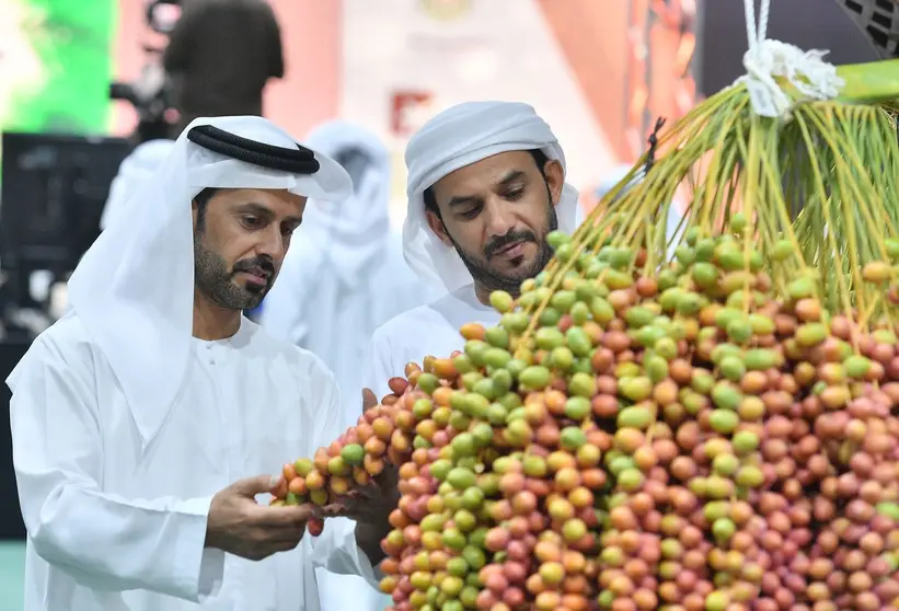 El Festival del dátil Liwa. (WAM)