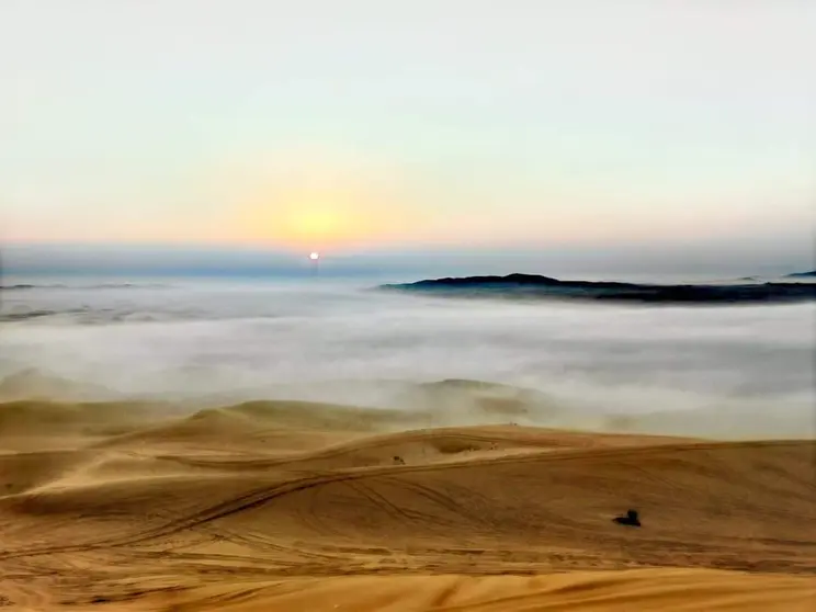 El desierto de Al Faya en el emirato de Sharjah. (X)