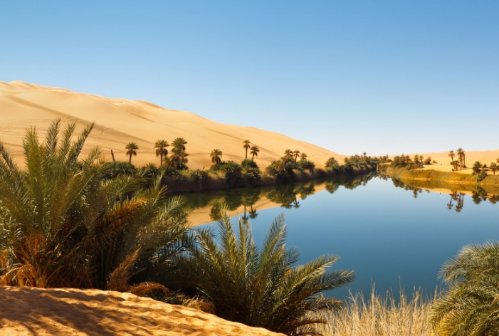 Un oasis en Abu Dhabi. (Fuente externa)