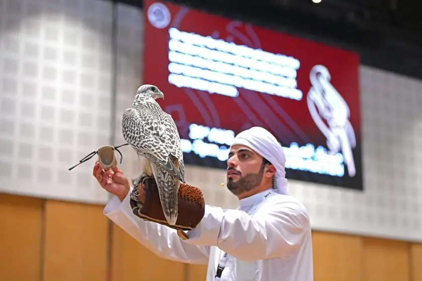 Una imagen de la subasta halcones en Abu Dhabi. (WAM)