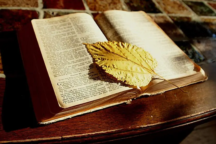 El marcador de libro se erige en una indispensable muleta para la memoria de los lectores. (pxhere.com)