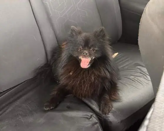 Pablo feliz tras la vuelta a casa. (Cedida)