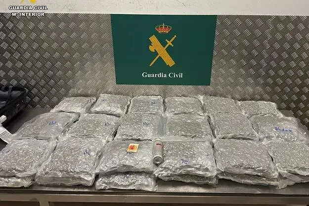 La Guardia Civil mostró esta imagen de la marihuana confiscada.