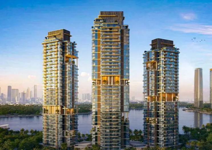 Viviendas en Dubai. (X)