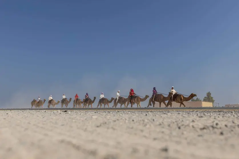 Participantes en la caravana del desierto en EAU. (WAM)