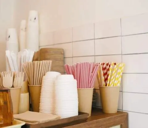 Utensilios de pl&aacute;stico. (Fuente externa)