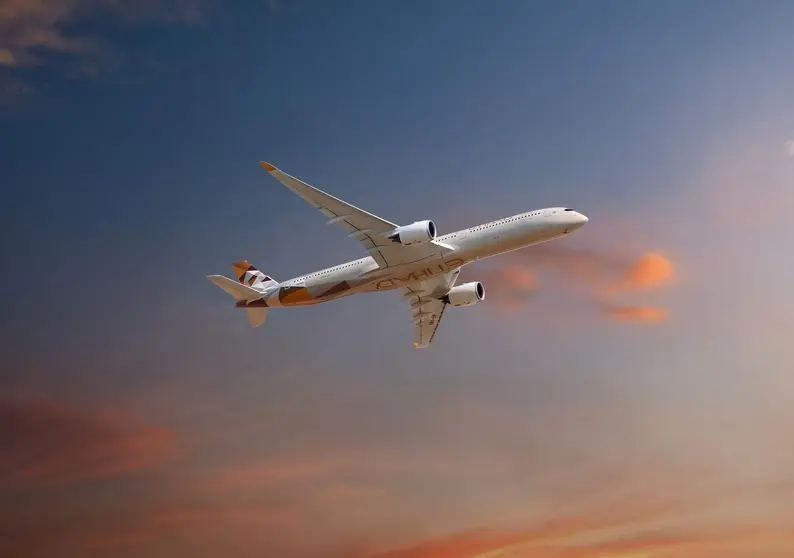 Un avi&oacute;n de Etihad Airways. (WAM)