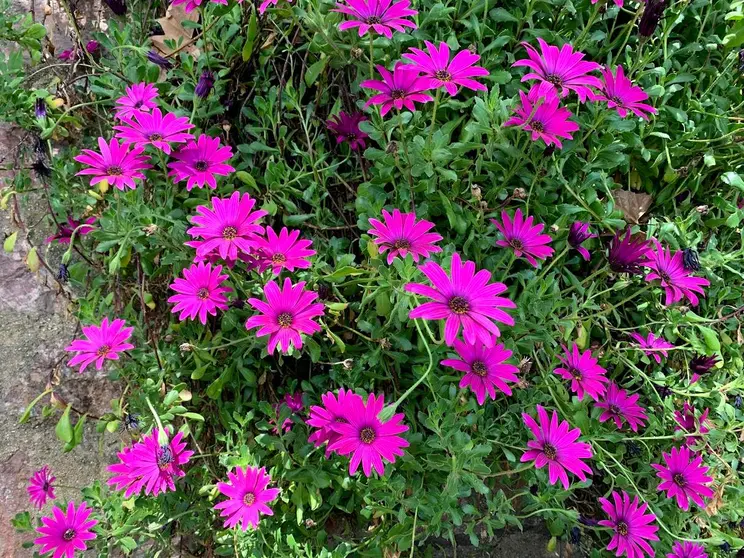 Imagen a modo ilustrativo. (EL CORREO)