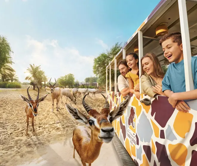 Dubai Safari Park. (X)