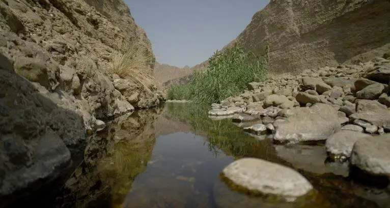 Wadi Wurayah en el emirato de Fujairah. (WAM)