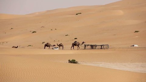 Desierto de Liwa, al sur de Abu Dhabi, donde las temperaturas pueden alcanzar los 50 grados. (EL CORREO)
