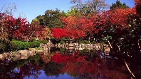 La aerol&iacute;nea con sede en Dubai tiene vuelos a todos los continentes.