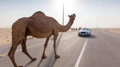 El deportivo se encuentra múltiples obstáculos en su camino.