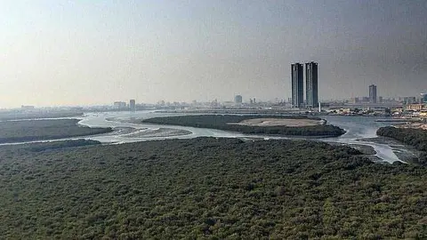 Vista de los manglares de Ras Al Khaimah. (Internet)