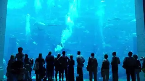 Lost Chambers Aquariums en el hotel Atlantis.