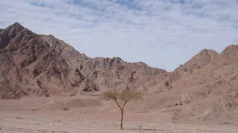 El avión cayó en una zona de montaña.