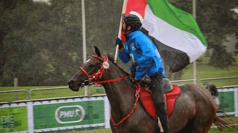 El príncipe heredero de Dubai sobre la silla de montar que será subastada en Dubai.