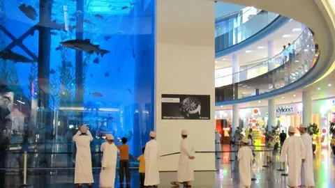 Una imagen del acuario del Duabi Mall.