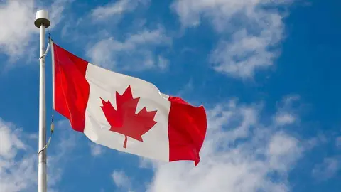 Canadá precisa gran variedad de profesionales.