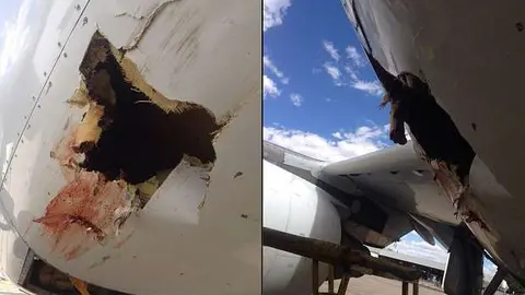 La imagen de Twitter muestra el agujero que provocó el pájaro en el avión.