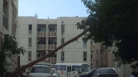 Un árbol caído por el viento en la zona de Karama en Dubai.