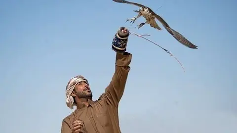 La cetrería forma parte de la cultura árabe.