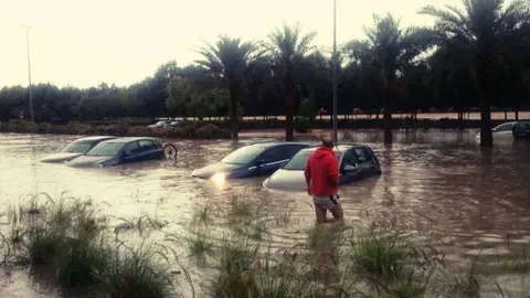 Inundaciones en la urbanización de Dubailand.