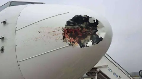 Los pájaros dejaron un agujero en el avión.