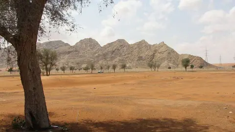 Región de Al Madam en Sharjah. (EL CORREO)