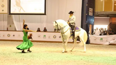 Espectáculo de baile con un caballo español. (Fuente externa)