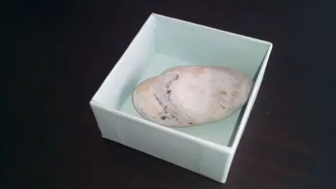 El comprador de Abu Dhabi recibió una piedra parecida a esta.