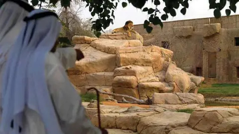 Imagen del Zoo de Al Ain.