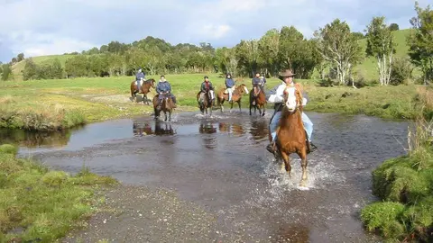 Imagen de los verdes prados argentinos de Santiago del Estero.
