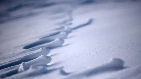 Nieve. (Eduardo Diez, Flickr)