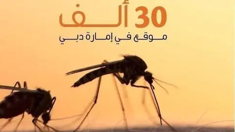 Una imagen a modo ilustrativo. (Fuente externa)