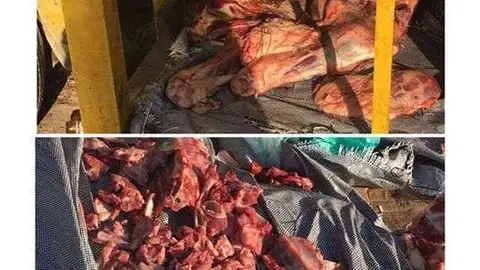 Alimentos en mal estado confiscados por la Policía de Dubai.