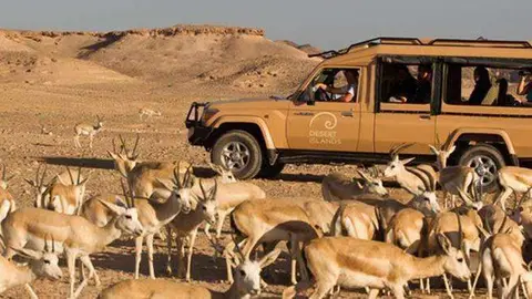 Sir Bani Yas Island en Abu Dhabi.