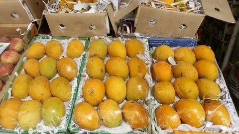 Imagen de mangos procedentes de la India en el Mercado de Frutas y Verduras de Dubai.