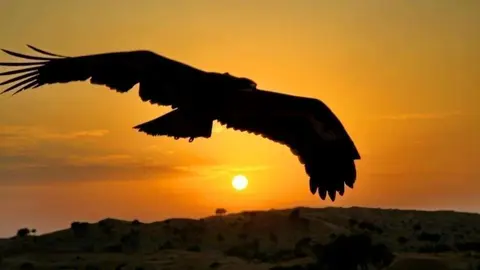Bellezas de Ras Al Khaimah.