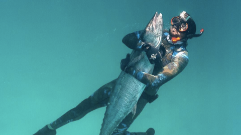 El jeque Hamdan nadando junto al pez. (Instagram)