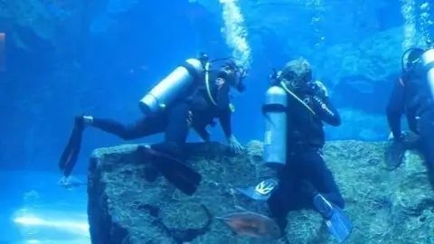 Imagen del acuario del Dubai Mall.